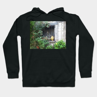 Window in the Provence with flowers. Hoodie